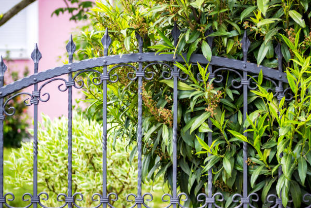 Refurbishment of Arched Wrought Iron Gates | Online Custom Plan for Rust Removal, Painting, and Anti-Rust Protection